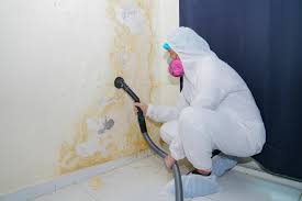 Best Forensic Mold Investigation in , MO